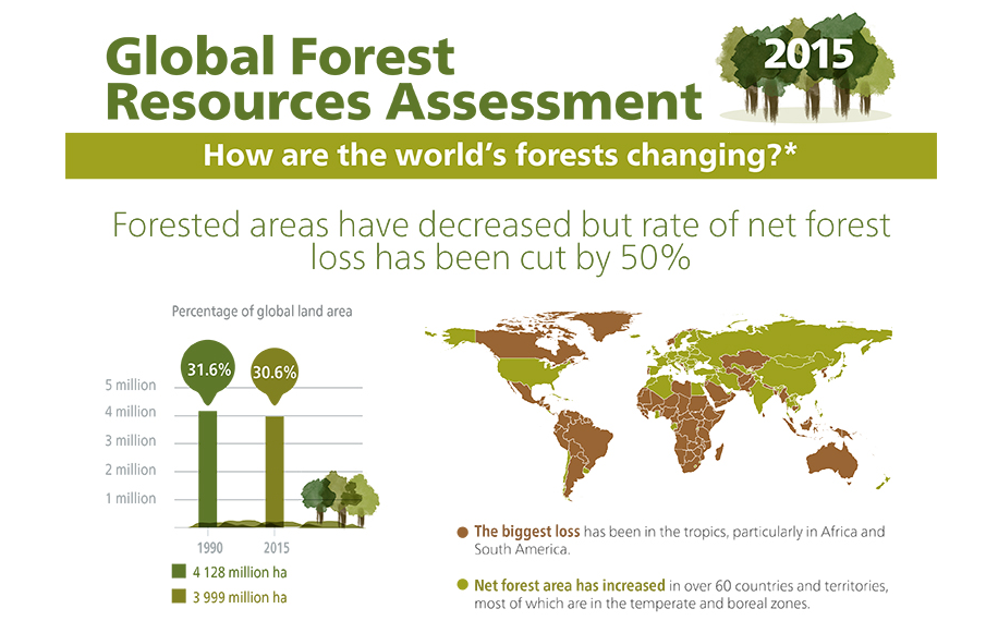 FAOstatistics's tweet photo. #Infographic | How are the world’s forests changing? http://t.co/fImihzFsTf #Forests2015 http://t.co/6EnxRBR3JO