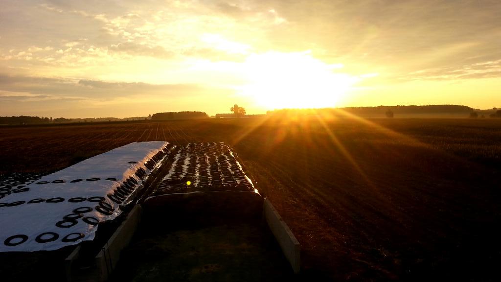 Mornings on the farm #ontag #passionforfarming #silage15done