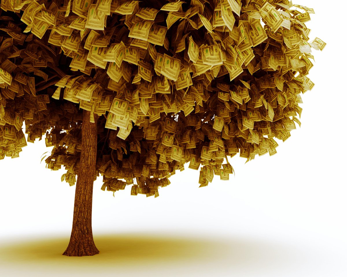SondagesCompare's tweet photo. L'argent ne pousse pas dans les Arbres... Mais dans les Sondages. 
Jusqu'à 10€ par sondage =>http://t.co/1yt1JnmC0B http://t.co/zfXihyMxiM