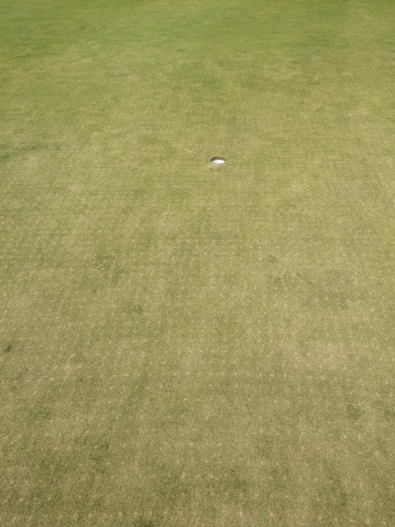festucaman's tweet photo. @Keithb78 @IslandGolfClub @greenkeepingire nice finish ๐ #potseeding #fescue #links http://t.co/9KhnRpjOQL