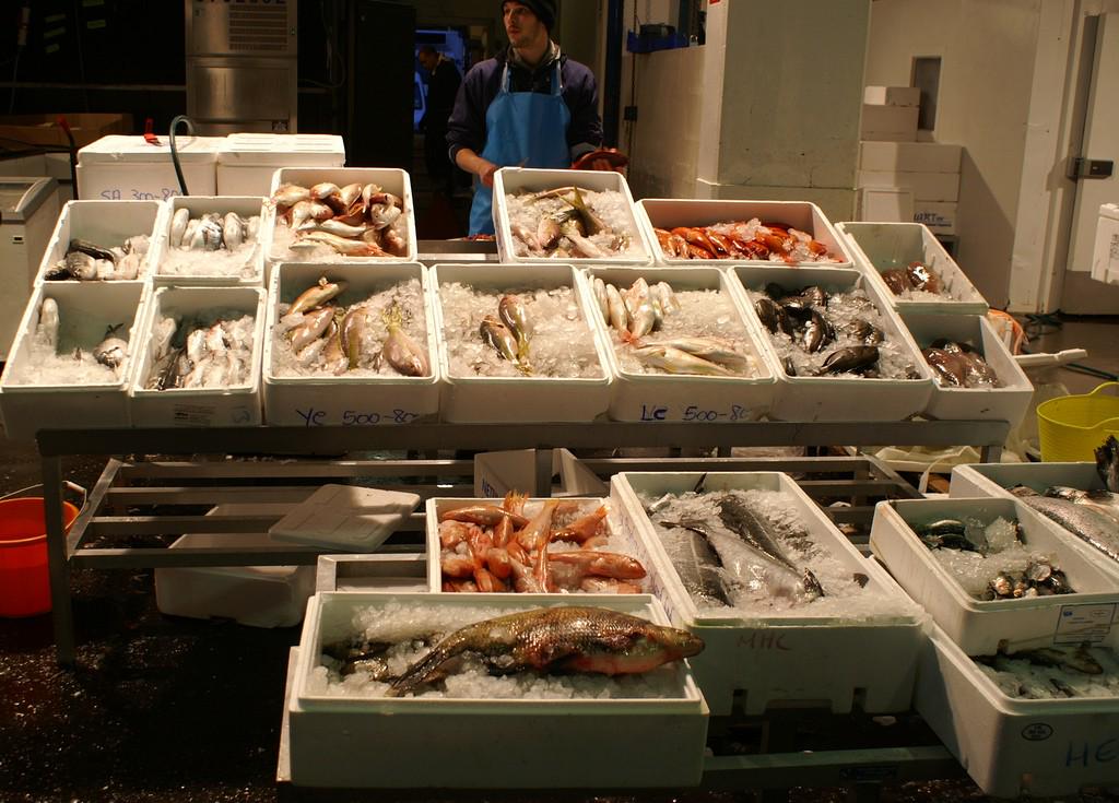 FridayLunchFree's tweet photo. They Were That Fresh Some Of Them Even Winked At Me #FishTacos #BirminghamMarket #FridayLunchFree @1pmlunch http://t.co/2MBUkjX4n5