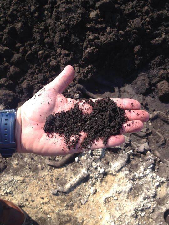 SMARTrecycle_US's tweet photo. Visiting Bee's Ferry composting site in Charleston. Look at the beautiful soil we are building together! #compost http://t.co/VEqscn4kkx