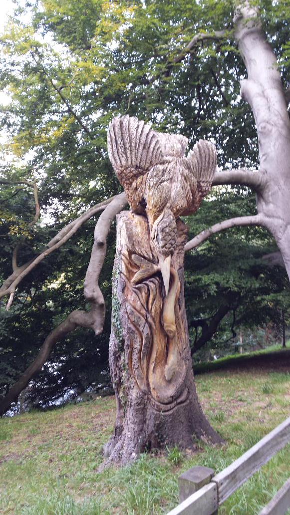 Leaving Harrogate on a bright sunny morning. #cyclingforcharity