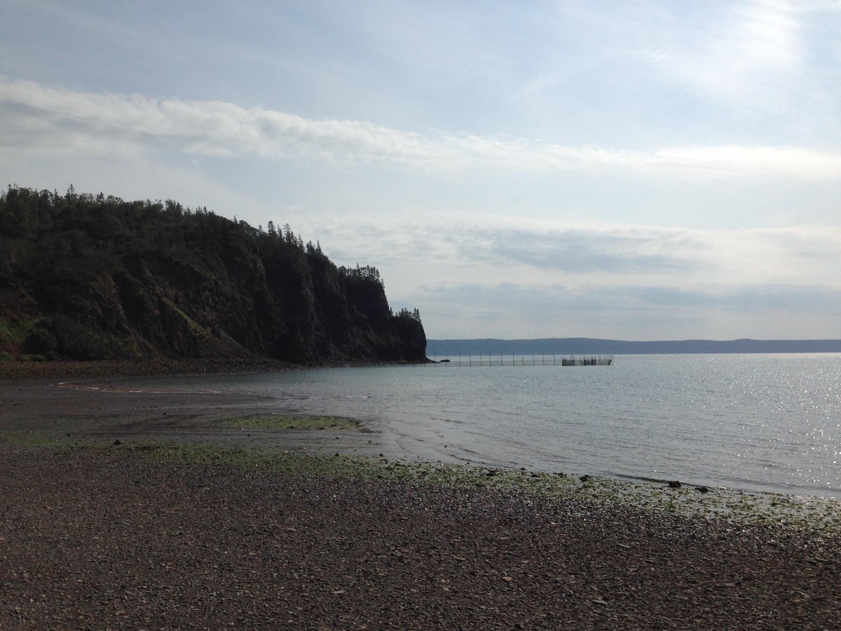 AmpeakEnergy's tweet photo. JV will enable #DPEnergy to take an active role alongside #Atlantis to maximise the huge potential of Canadian tidal http://t.co/G8adVF1sKJ