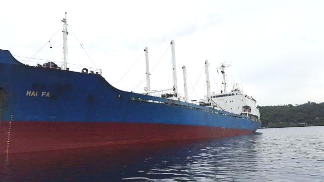 Mongabay Indonesia tweet media