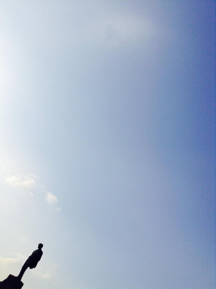 operachic tweet media