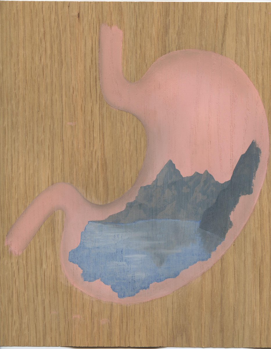 3 days to go! hubbub.net/p/ma-for-ana #MAforAna #painting #art #landscape #stomach #wood #veneer #education #fineart