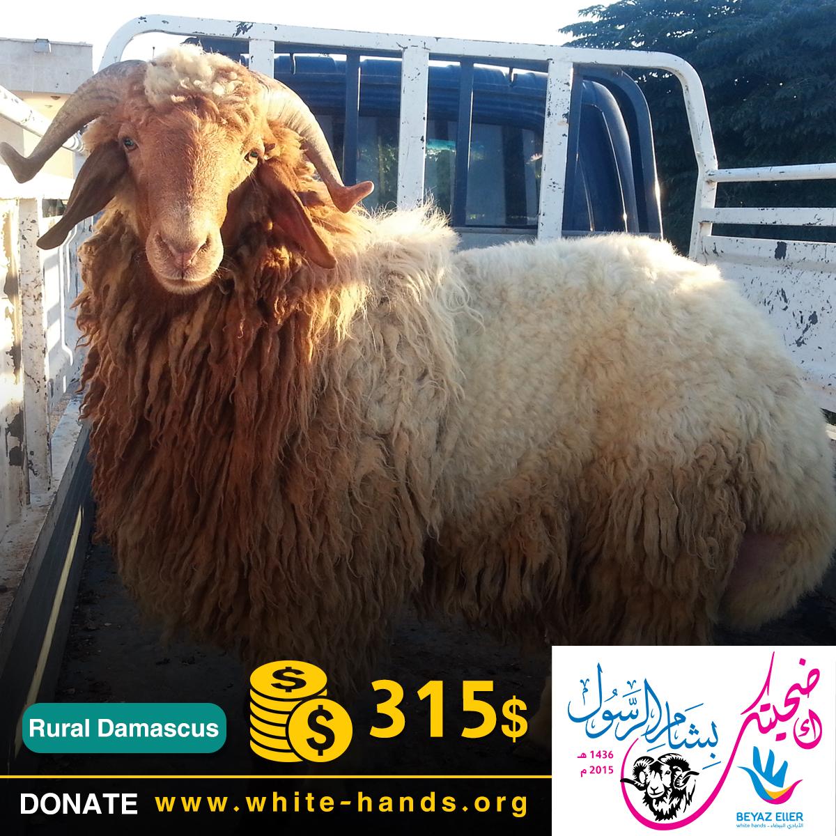 BeyazEllerSYR's tweet photo. " #اضحيتك_بشام_الرسول "
share with us
online #dontion and for more information
http://t.co/Dury64OTkp http://t.co/Wz3J91yIFj