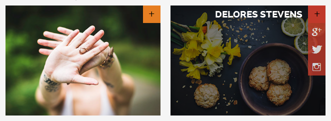 snippetslittle's tweet photo. New snippet (0066).. Image hover effect with float in name and icons.. http://t.co/v11CaGFq3I  #css #css3 #html http://t.co/3T5hDhV2Nv