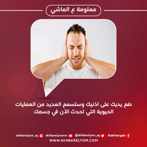akhbarelyom's tweet photo. معلومة ع الماشي http://t.co/LqpSANymFJ