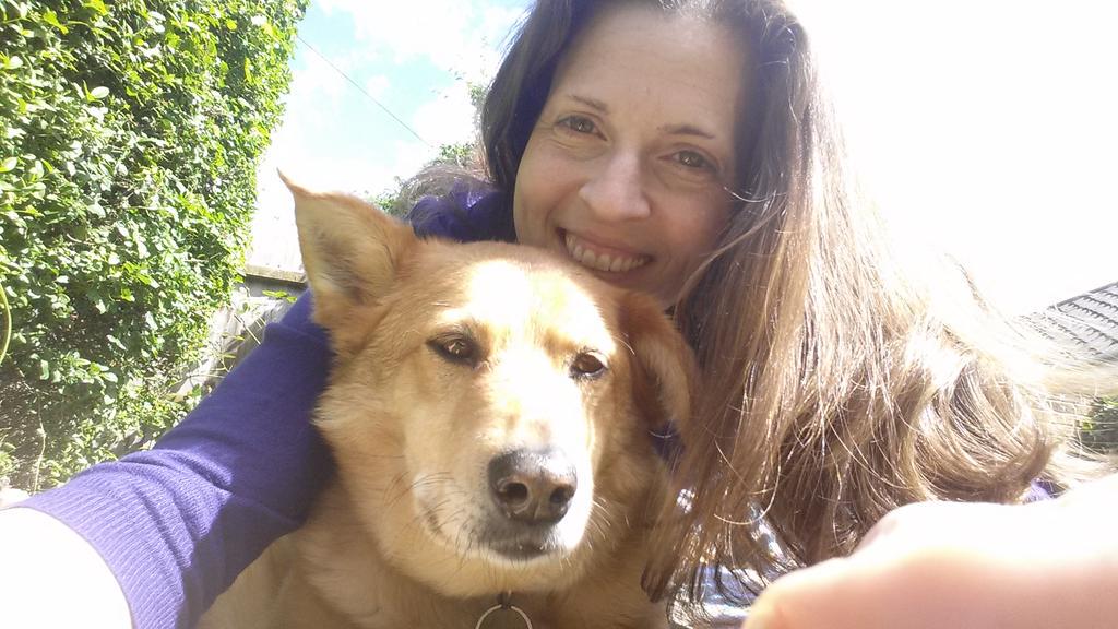 Dorset_vegan's tweet photo. #hugyourhound #manchesterdogshomefire one year on. http://t.co/R2NXEIYaa3