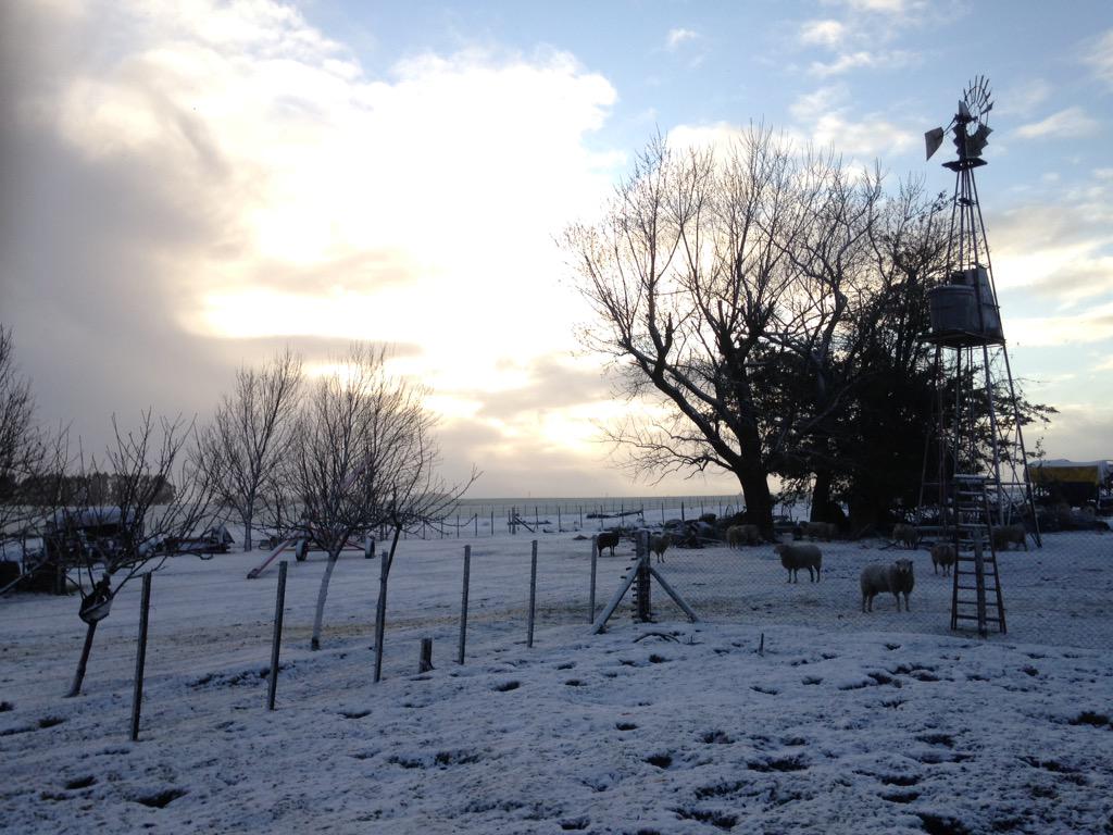 galmassio's tweet photo. Sigue nevando en el SE BsAs http://t.co/FDsdxjLvWj