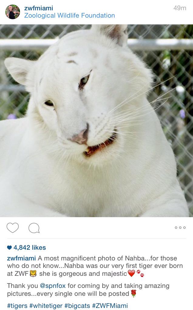 flutist_kim's tweet photo. GM Lady Cat! #Nahba http://t.co/iJa4PnnMZ6