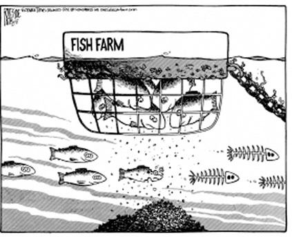 aquaforce_2016's tweet photo. Keep aquaculture clean you are killing the other fish! Which is distorting our ecosystem! #healthyfishy #beafish http://t.co/Vx7aPStBhn