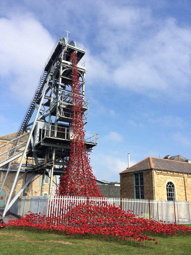 Tegan Pivard tweet media