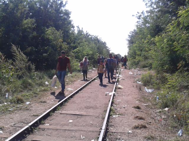 Foundation SHL tweet media