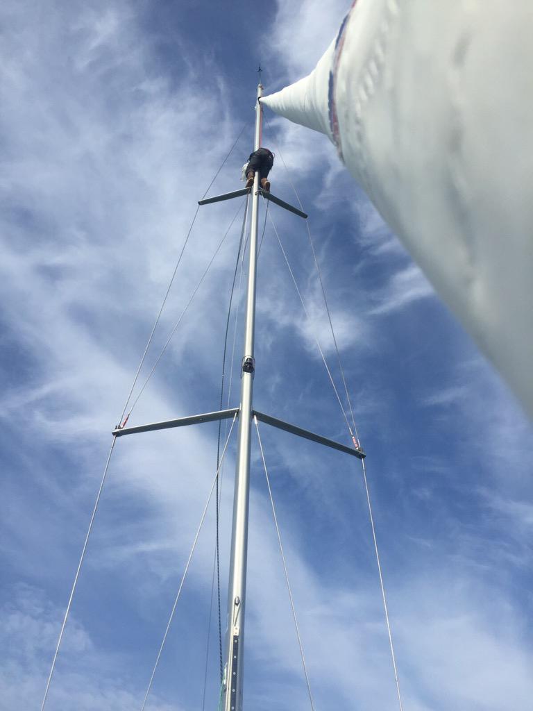 Eleanor Ball tweet media