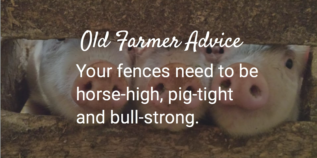 Kevin Stewart tweet media