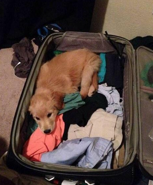 fresherbible's tweet photo. COMMANDMENT #228: Packing for university like... http://t.co/I6nfL6hJa1