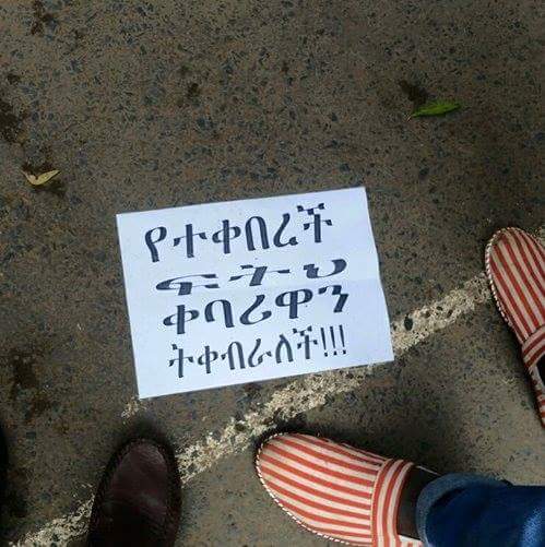osmanyehamza's tweet photo. We #Ethiopiamuslims need justice!!! http://t.co/JsFbRr71FG