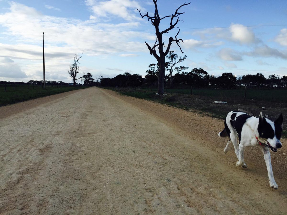 Louise Mc tweet media