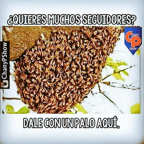 Josewar317's tweet photo. Jajajq la verdad http://t.co/XRlFs8Korv