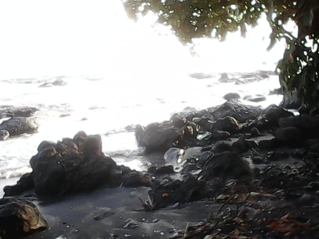 guswanto (@guswanto691) on Twitter photo 