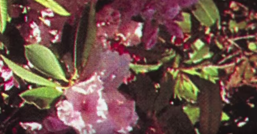 NOWNESS Picks: Travel Almanac’s John Roberts unleashes a sonic cyclone with ‘Orah (Distilled)’bit.ly/1OGdusm