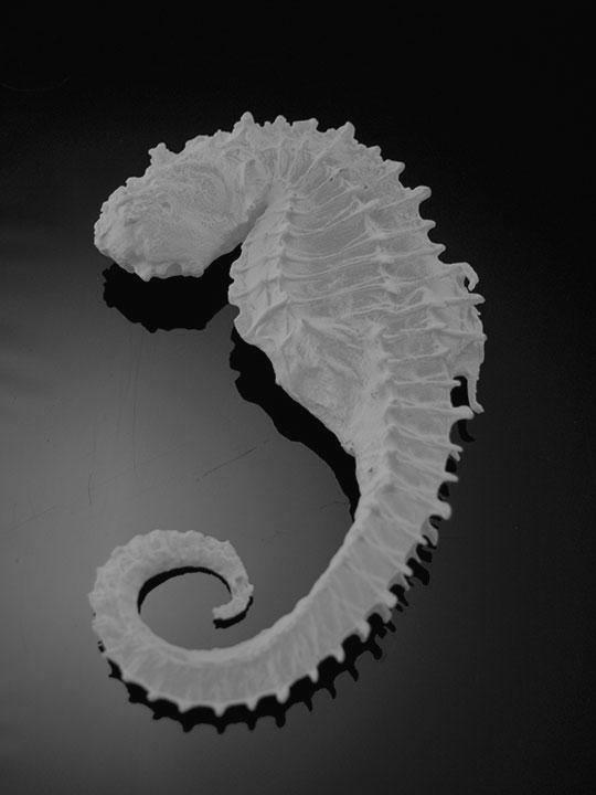 Work made by <a href="/SeanVicary/">Seán Vicary</a> during his residency with us tinyurl.com/ojqzbye