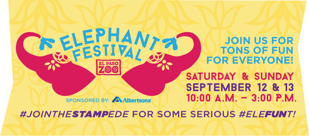 corpcomfortsep's tweet photo. Don't miss the #ElephantFestival at the #ElPasoZoo this weekend! #jointhestampede #elefunt @elpasozoo http://t.co/YcOR2mkYFz