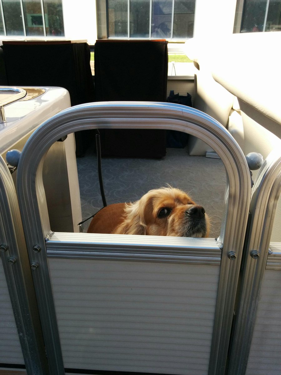 RideauCanalNHS's tweet photo. Whether you’re visiting by foot, car or boat, bring along your #LockDog! We love them all, big or small! http://t.co/UqF86JHvan