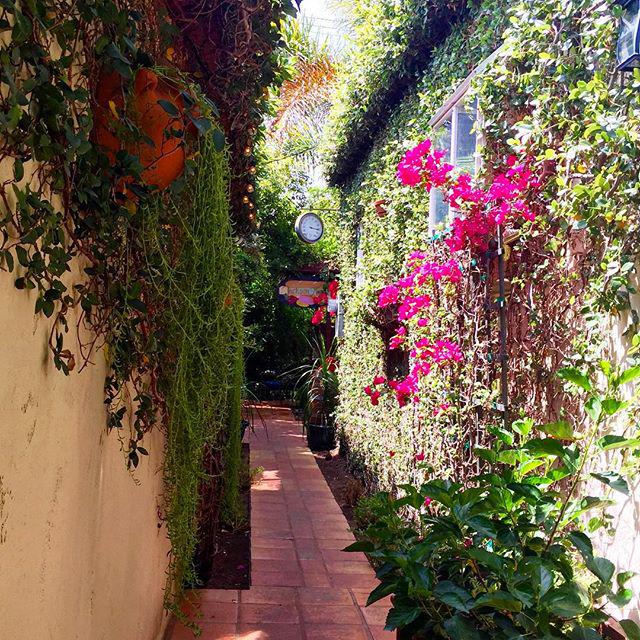 Retweet this if you enjoy our backyard patio as much as we do! #secretgarden #culvercity