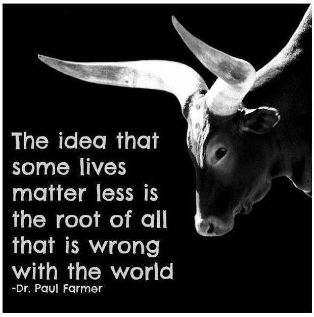 ElleTrotter's tweet photo. http://t.co/DC3pdSlsiy