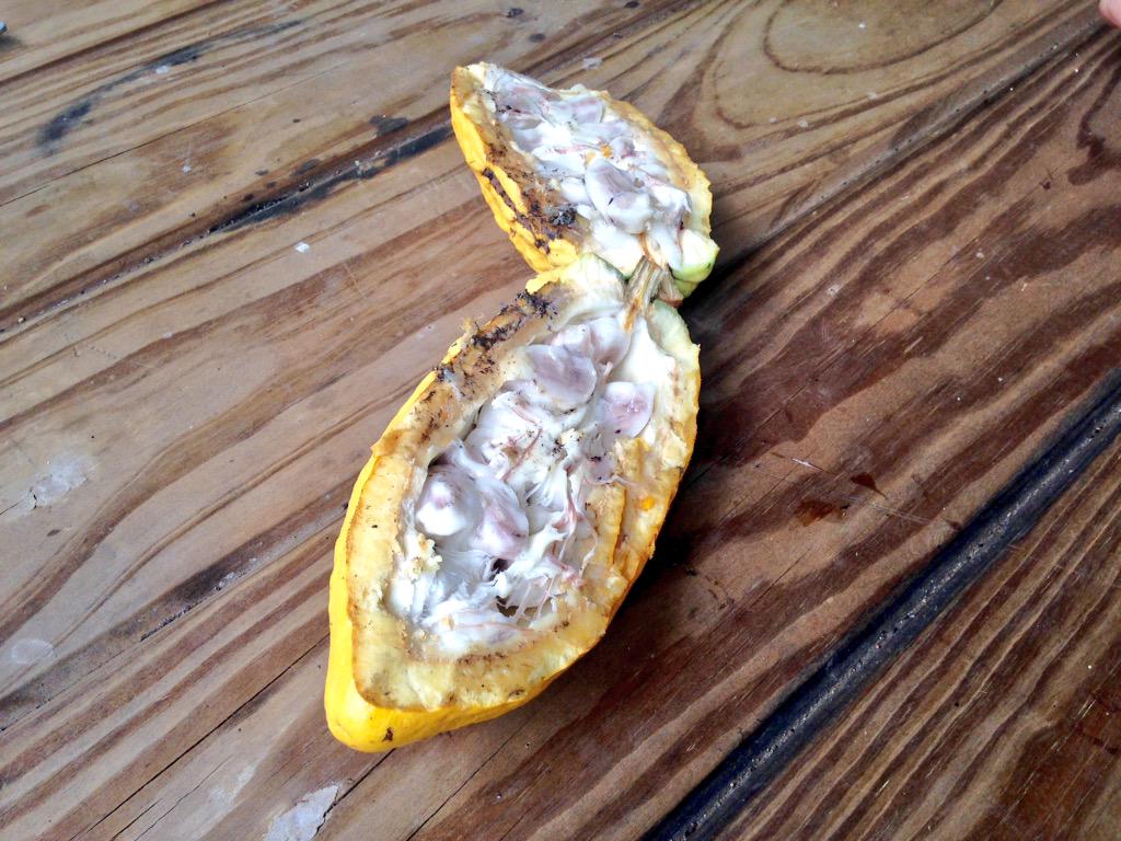 Para la Naturaleza tweet media