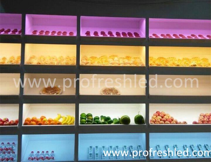 profreshled's tweet image. Why choose KAPATA Light in supermarket shelf?