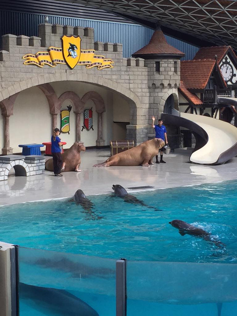 LoafaGemini's tweet photo. Our trip Marineland today #fun #mommydaughter #makingmemories http://t.co/FKJqHDXWJ5