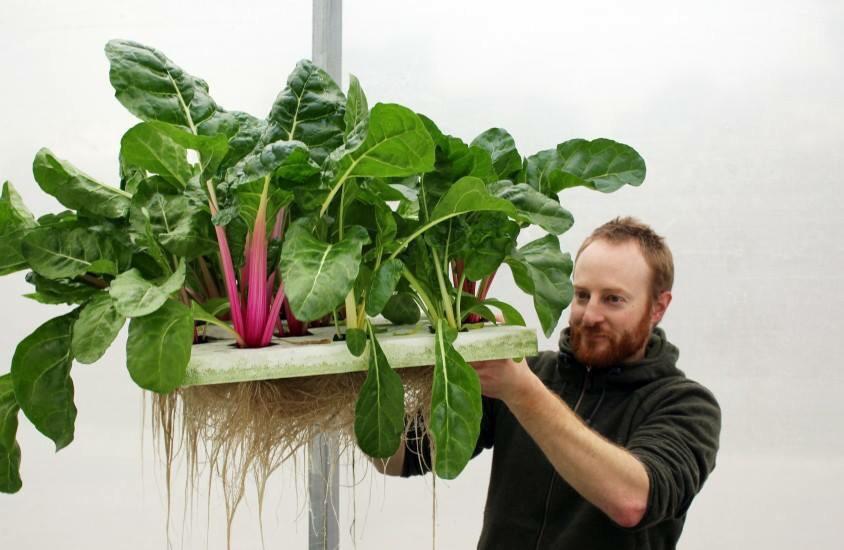 BarbarianProds's tweet image. Coming up at 12pm... Stephen Mushin's amazing future visions #HackingtheCity #SpringUprising