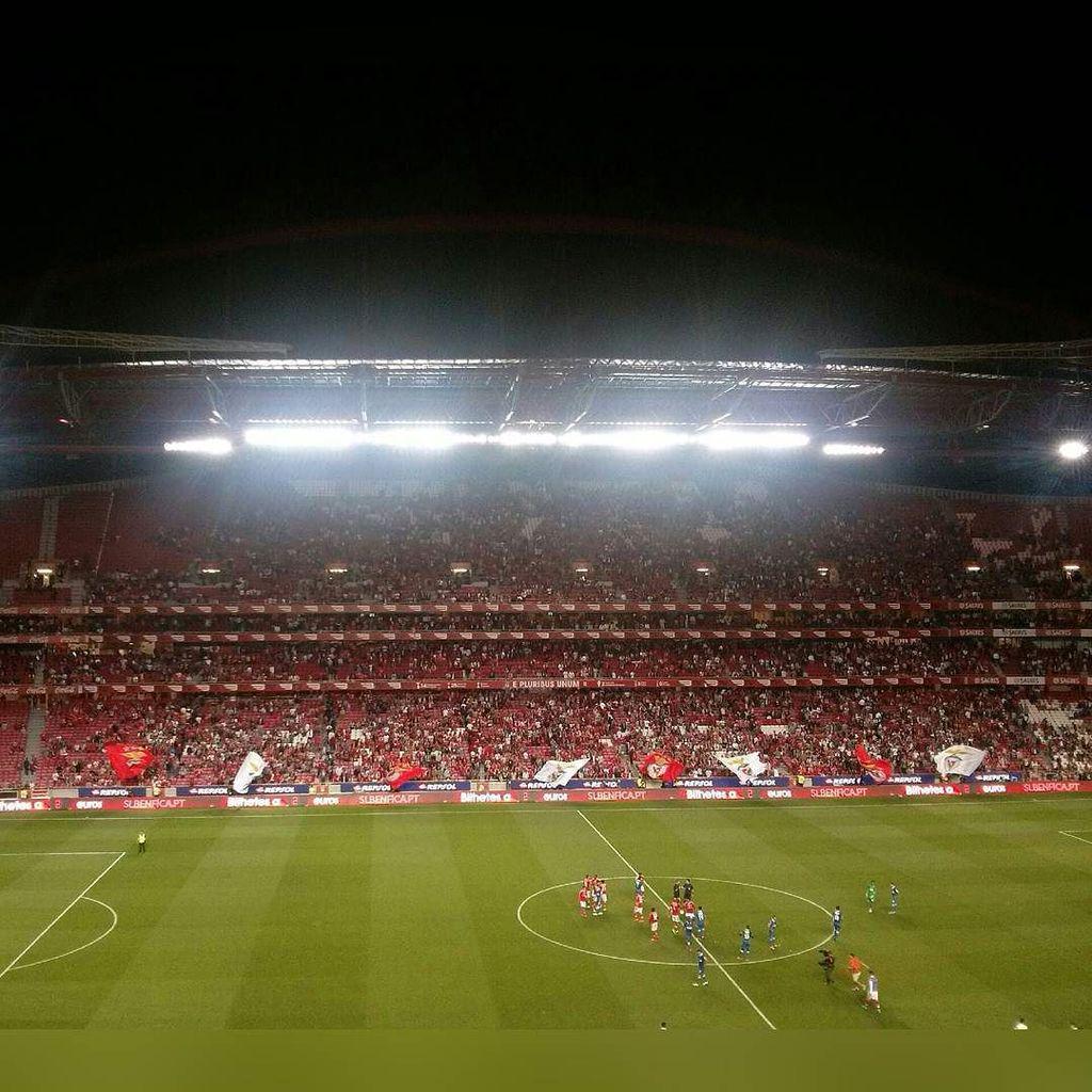 GloriosoSLBApp's tweet image. Hoje voltei à Luz para ir ver o Benfica, e que regresso
Benfica 6-0 Belenenses
#RedPass 
#CarregaBenfica 
#Rumoao35…