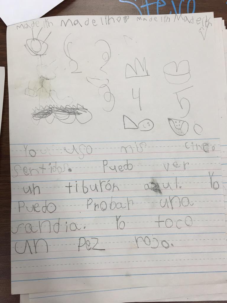 TripleCrownEl's tweet photo. Our DLI Kinder students using two-column notes to write a four-sentence paragraph! #elementaryAVID #DualImmersion http://t.co/GpvhXKf7KM
