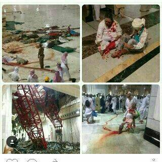 Melissa Kang tweet media