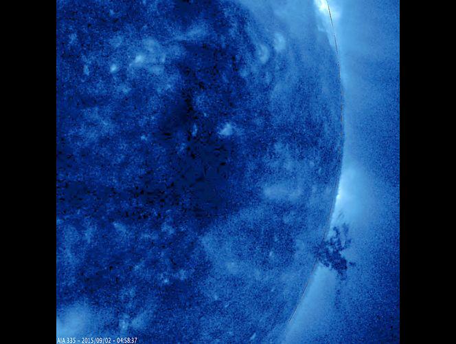 ZoomRadar tweet media