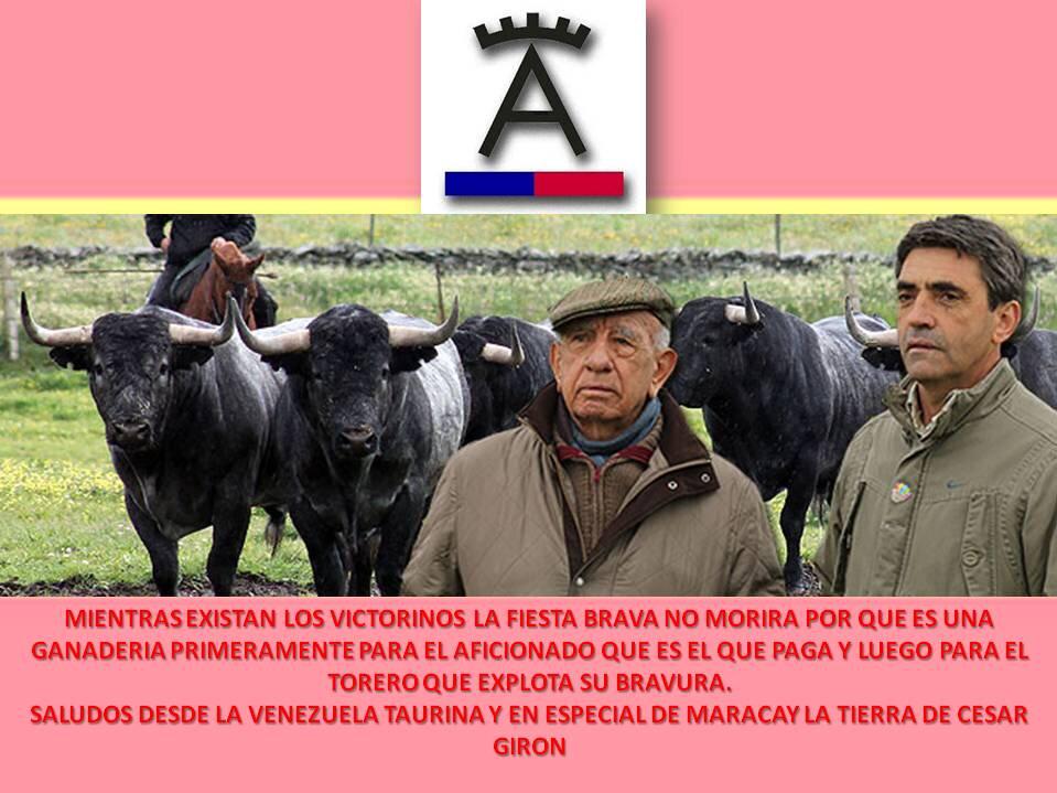 oxdioni's tweet photo. @victorinotoros la verdad en imagen http://t.co/BYbwNfizxb