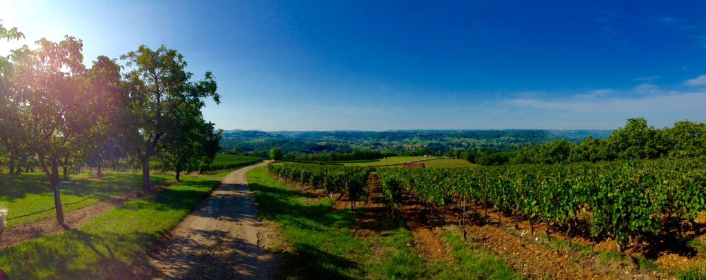 priestjones's tweet photo. South West France.... Cornac #peaceandquiet #hot #bliss http://t.co/pq0gwA3NgG