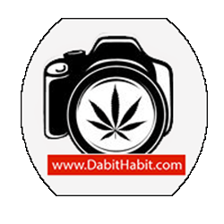 DabitHabit's tweet photo. Interested in DabitHabit Marketing? DIAL 949-445-DAB1 #SocialMediaMarketing #mmjfriendly #advertising #cannabis http://t.co/brwmfiULSf