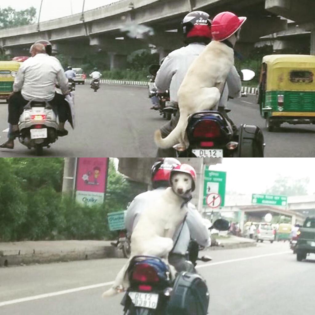 View image on Twitter View image on Twitter