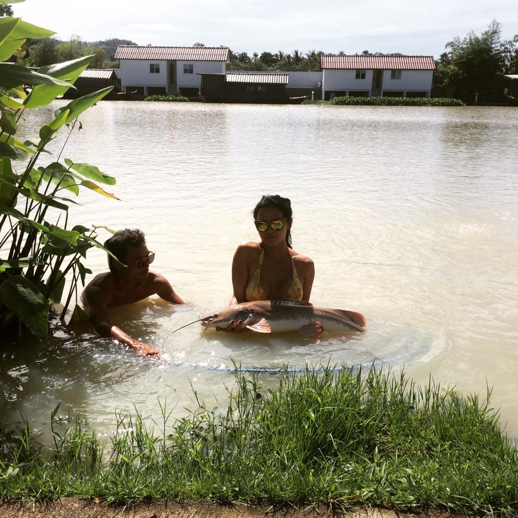 iammissseven's tweet photo. Catching first 🐠🌴 #asianredtailcatfish This species is widely consumed as food fish https://t.co/ZWsVMgGbUg #KohSamui http://t.co/S5EQbw5k97