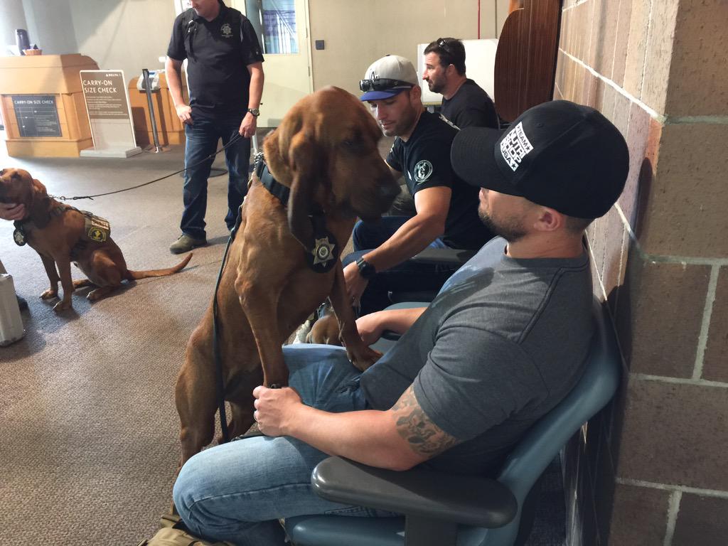 saxpack's tweet photo. @saxpack sheriff's dogs giving suspect the evil eye at the Charleston,SC airport. (Actually, it was his trainer). http://t.co/d9Co5ckEBv