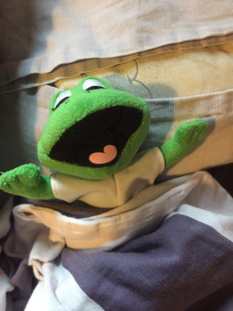 jamesthefrogg's tweet photo. Early morning.... #jamesthefrog http://t.co/vSxTcJnR4C