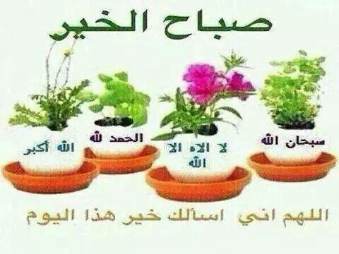 <a href="/arrghvdduhjhr93/">الحساب مغلق</a> <a href="/ruqayaabdullah1/">♡حنيييييين ♡</a> <a href="/On669/">عاشقة الحسين(ع)</a> <a href="/Qq71Qwer09876/">لبيك ياحسين</a> @f_a_m_67 <a href="/bvv4Kn9ovwGuOdP/">الواسطي</a> <a href="/ahmad19816643/">أحمد العبدالله</a> @