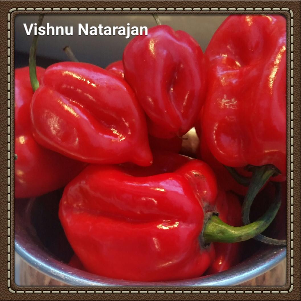 VishnuEats's tweet photo. #curryforchange #charity  £1 from every dining table @CaromSoho @caromspiceGDN #feed #stop #hunger @DandDLondon #pray http://t.co/DSfFfQGZP0